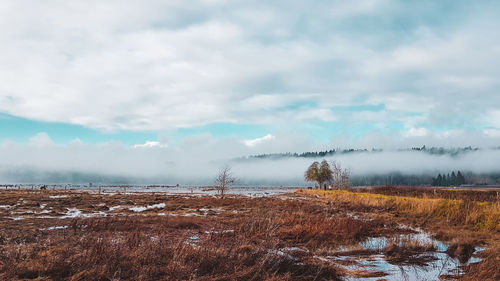 Scenic view of land against sky