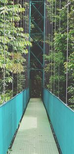 View of walkway
