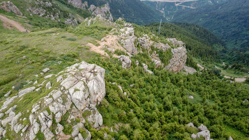 High angle view of trees on landscape