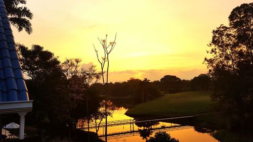 Silhouette trees against sky during sunset