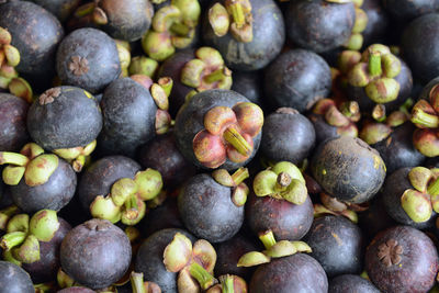 Close-up of purple mangosteen