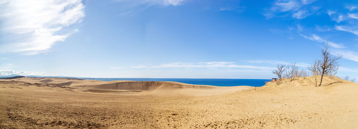 Panoramic view of desert against sky