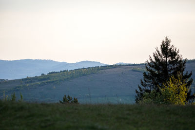 Scenic view of landscape against clear sky