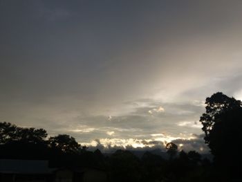 Silhouette trees against sky during sunset