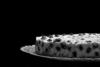 Close-up of bread in plate against black background