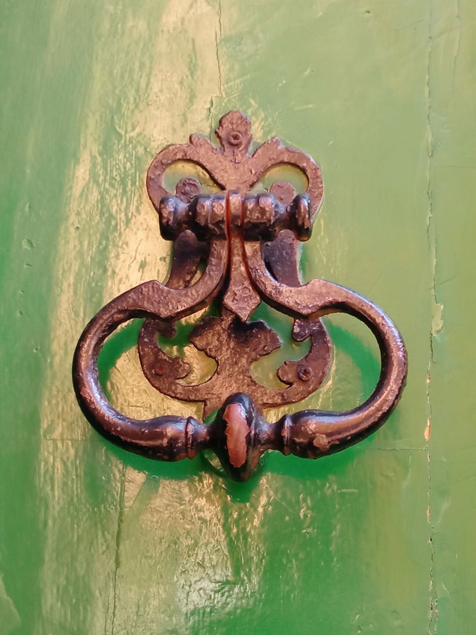 metal, rusty, green, no people, door knocker, door, day, entrance, close-up, old, water, protection, security, outdoors, nature, animal