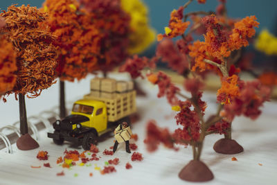 Close-up of orange flowers on table