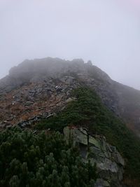 Houses on mountain range