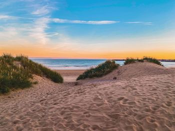 Scenic view of beach against sky during sunset