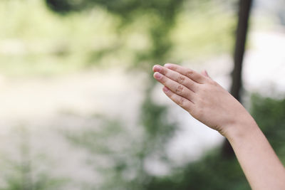 Cropped hand of person in forest