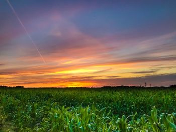 Scenic view of field against sky during sunset