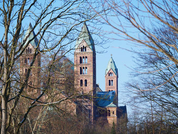 Low angle view of trees and building against sky