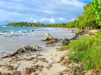 Scenic view of beach against sky