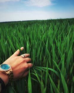 Cropped image of man standing on grassy field