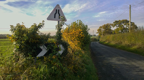 Road amidst trees against sky