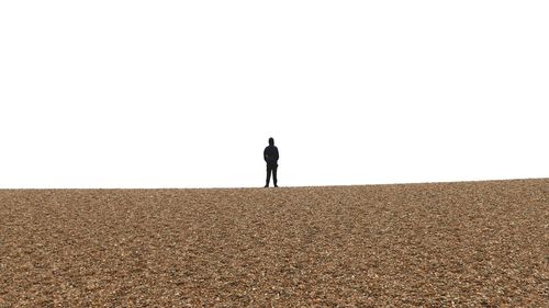 Rear view of a man standing on landscape