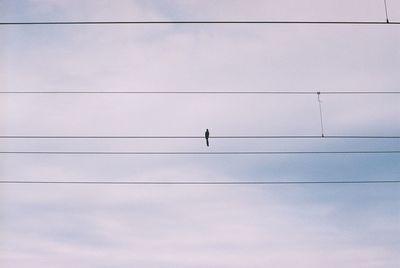 Low angle view of power lines