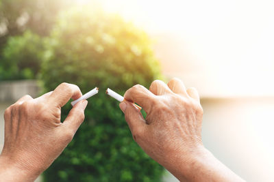 Close-up of hands holding leaf