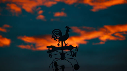 Silhouette of bird at sunset