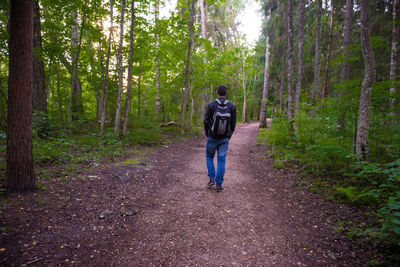 Full length rear view of man walking in forest