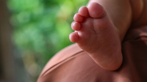 Close-up of baby hand