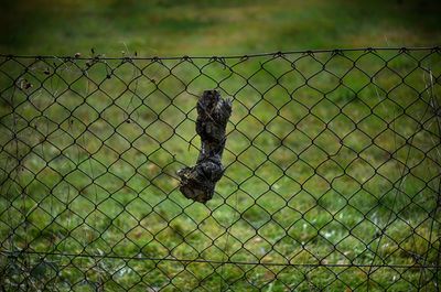 Close-up of chainlink fence against sky