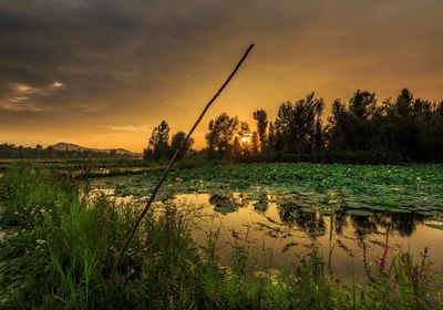 Scenic view of lake against sky during sunset