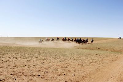 People riding horses in desert against clear sky