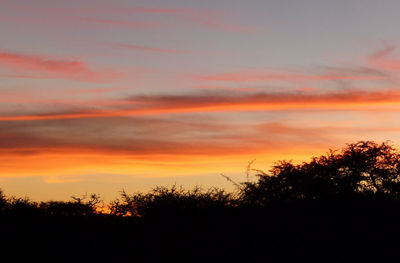 Silhouette trees on landscape against orange sky