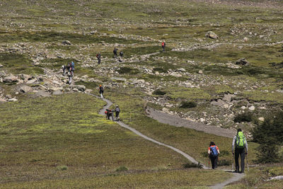 High angle view of people walking on field