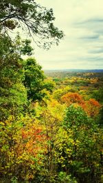 Scenic view of field against cloudy sky