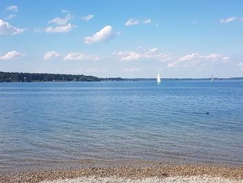 Sailboats sailing on sea against sky