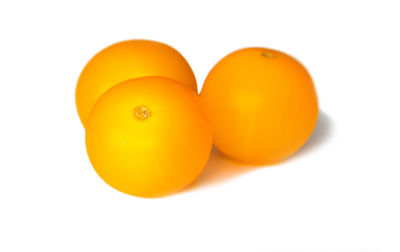 Close-up of oranges against white background