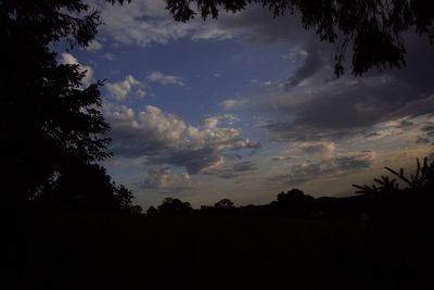 Low angle view of silhouette trees against sky at sunset