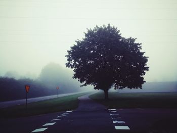 Road by tree against sky