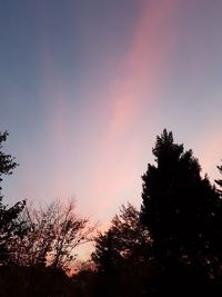 Low angle view of silhouette trees against sky at sunset