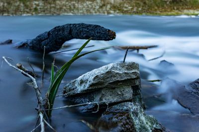 Close-up of rocks by lake