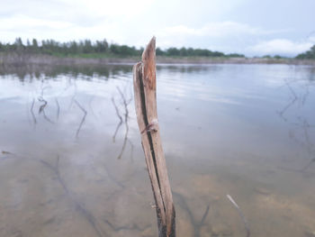 Close-up of water in lake against sky