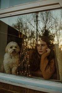 Portrait of a dog looking away