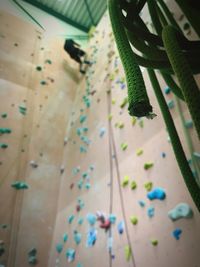 Low angle view of ropes on rope