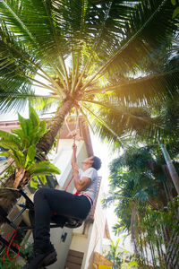 Low angle view of woman sitting on palm tree