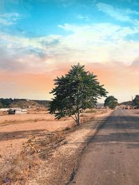 Trees on dirt road against sky during sunset