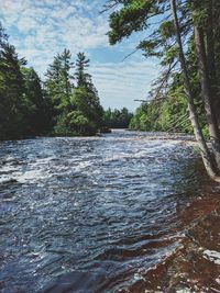 Scenic view of river in forest against sky