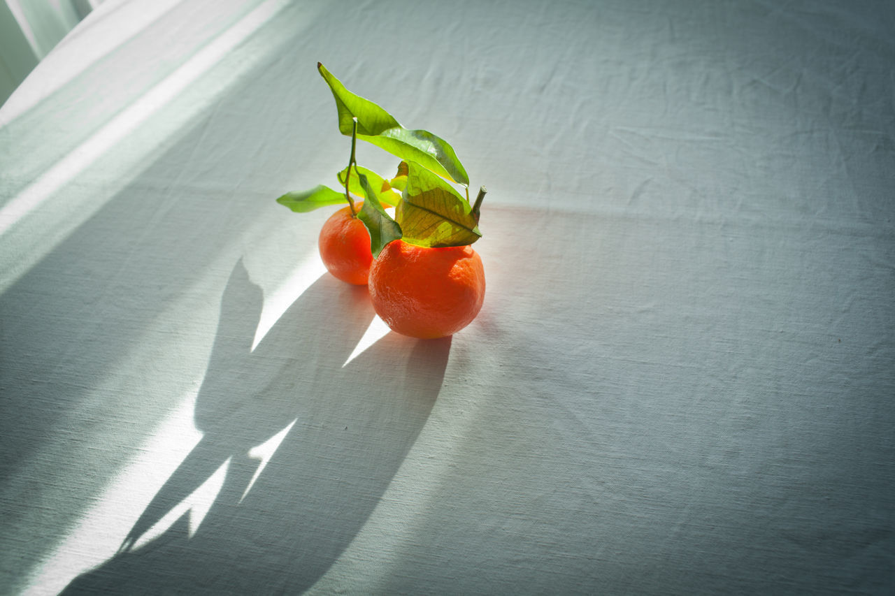 CLOSE-UP OF RED CHILI ON TABLE