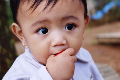 Close-up of cute baby girl eating fruit