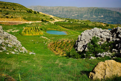 Rocky field with blue pond