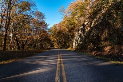 Empty road along trees