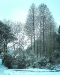 Snow on field against sky during winter