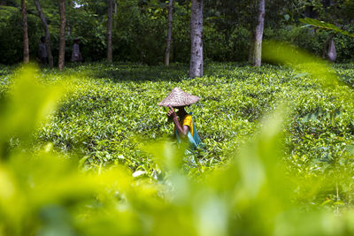 Woman standing amidst plants