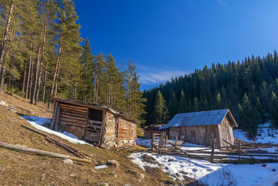 House amidst trees and buildings against sky during winter